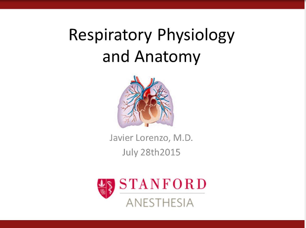 Respiratory Physiology and Anatomy